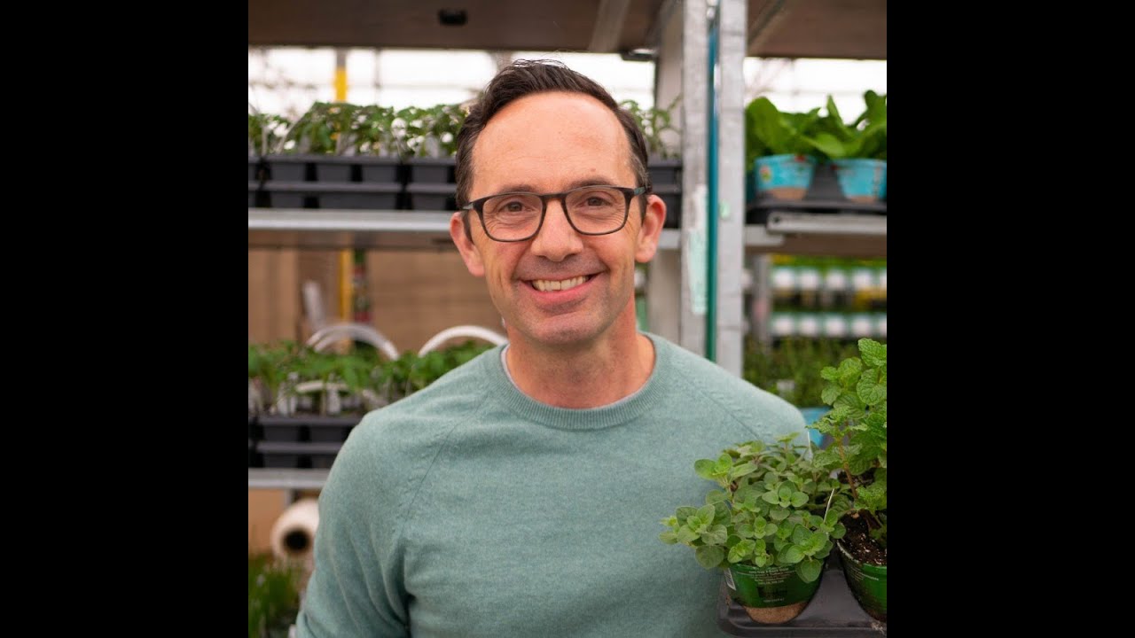 A Conversation With Frankie Flowers
