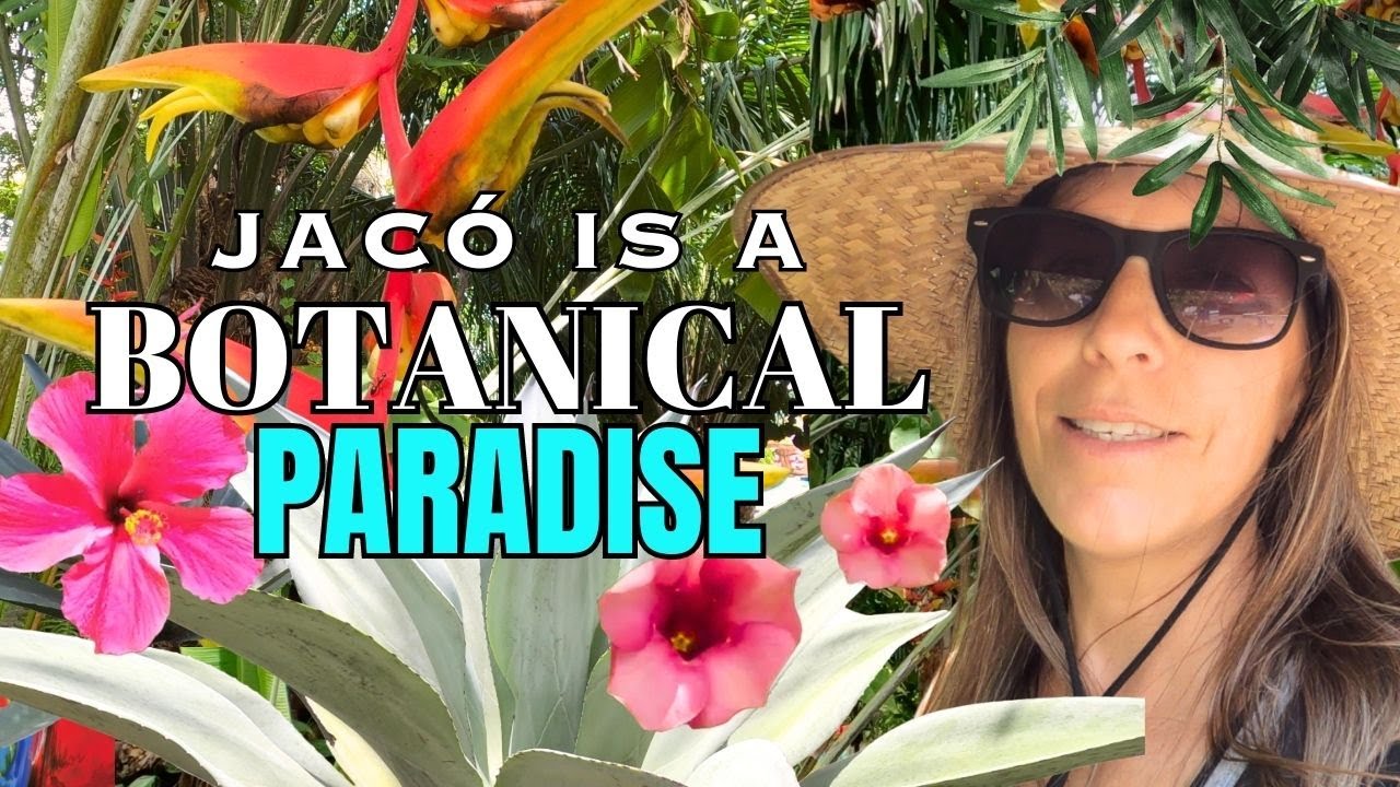 Botanical Tour of Jaco, Costa Rica Part 1