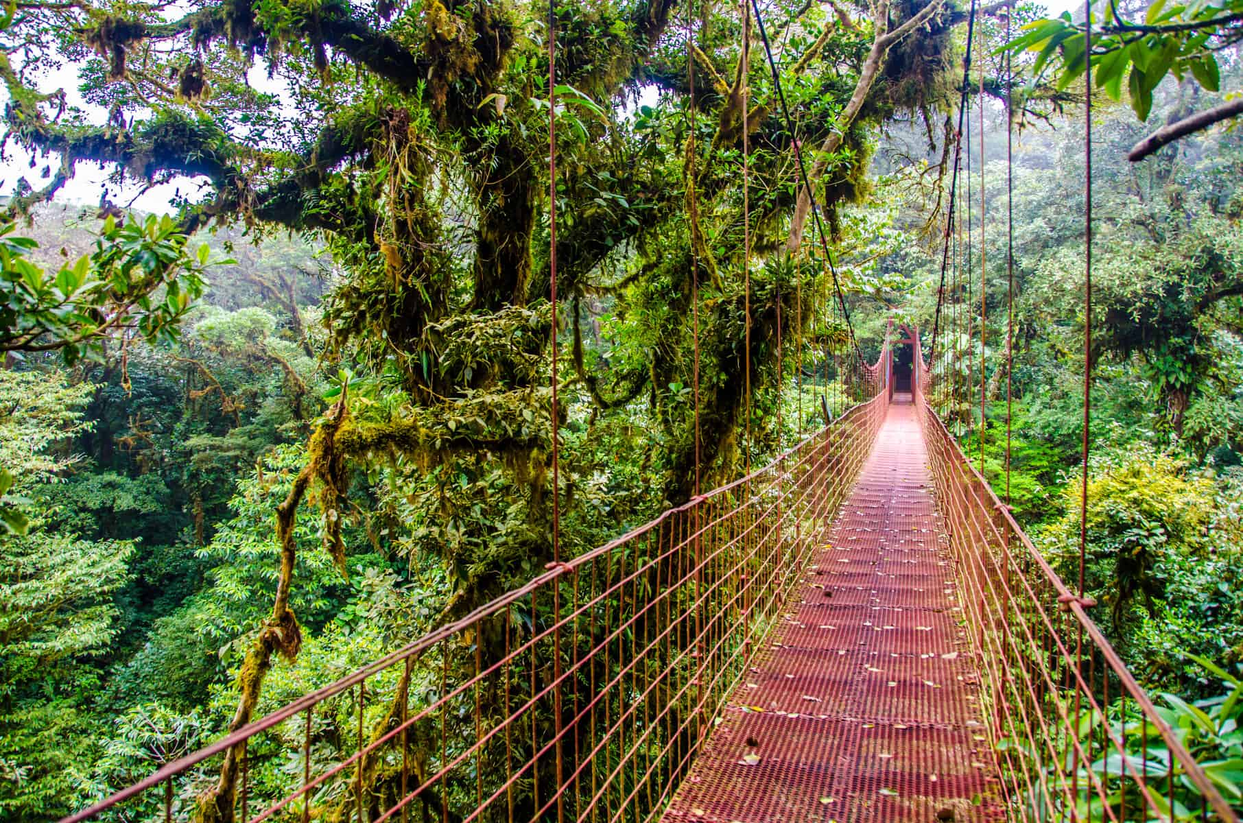 Suspension bridge on Costa Rica's Pacific Coast