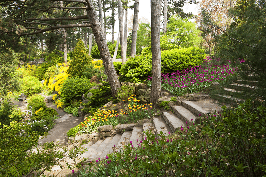 Royal Botanical Gardens