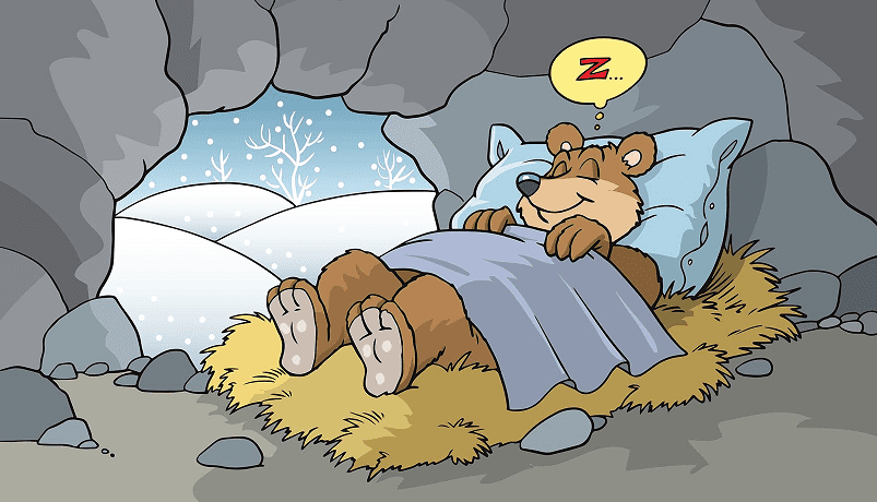 Hibernation