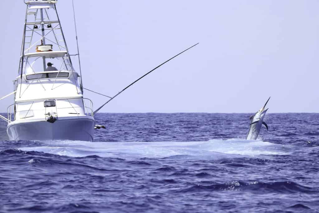 Deep sea fishing boat out on the ocean is a great active hobby for a retired couple