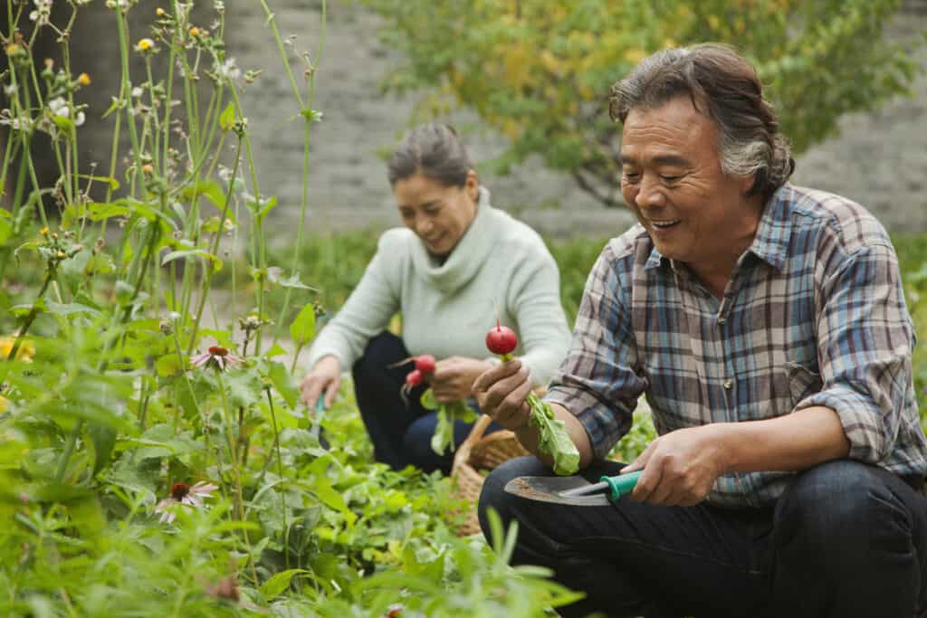Gardening and growing your own food is one of many activities for retired couples to enjoy together.