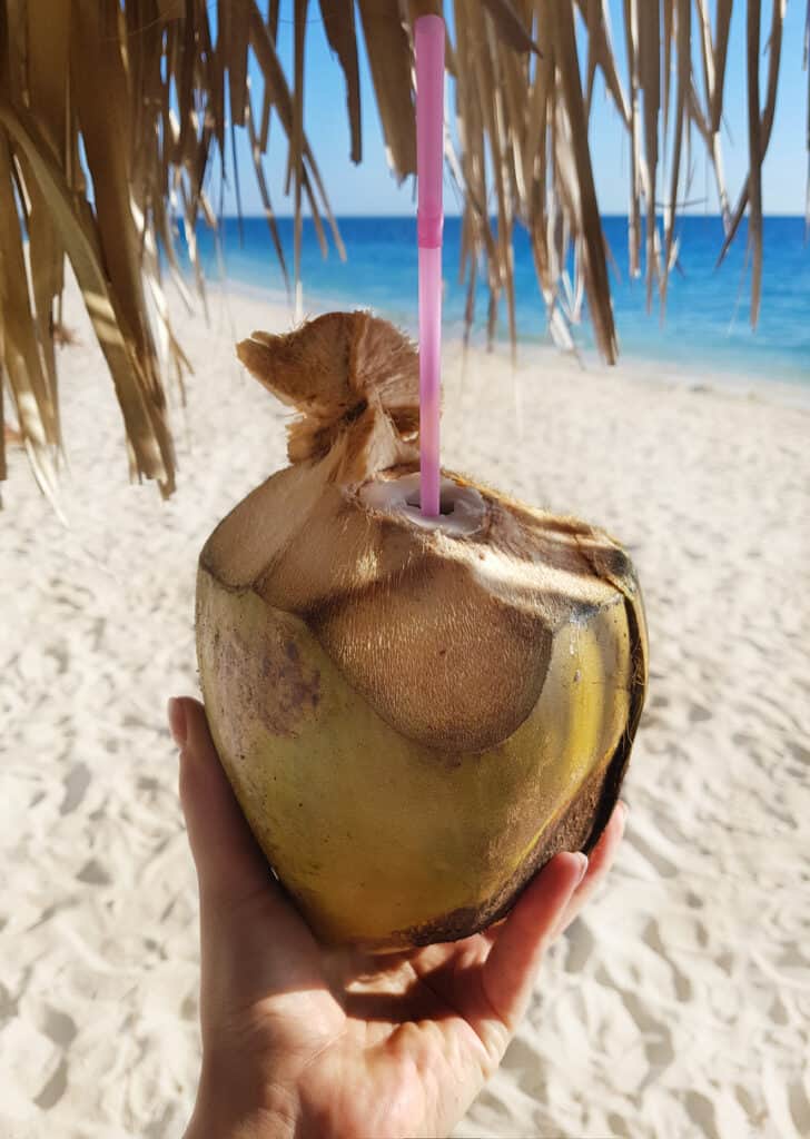 Woman hand keeps fresh green coconut on a tropical beach