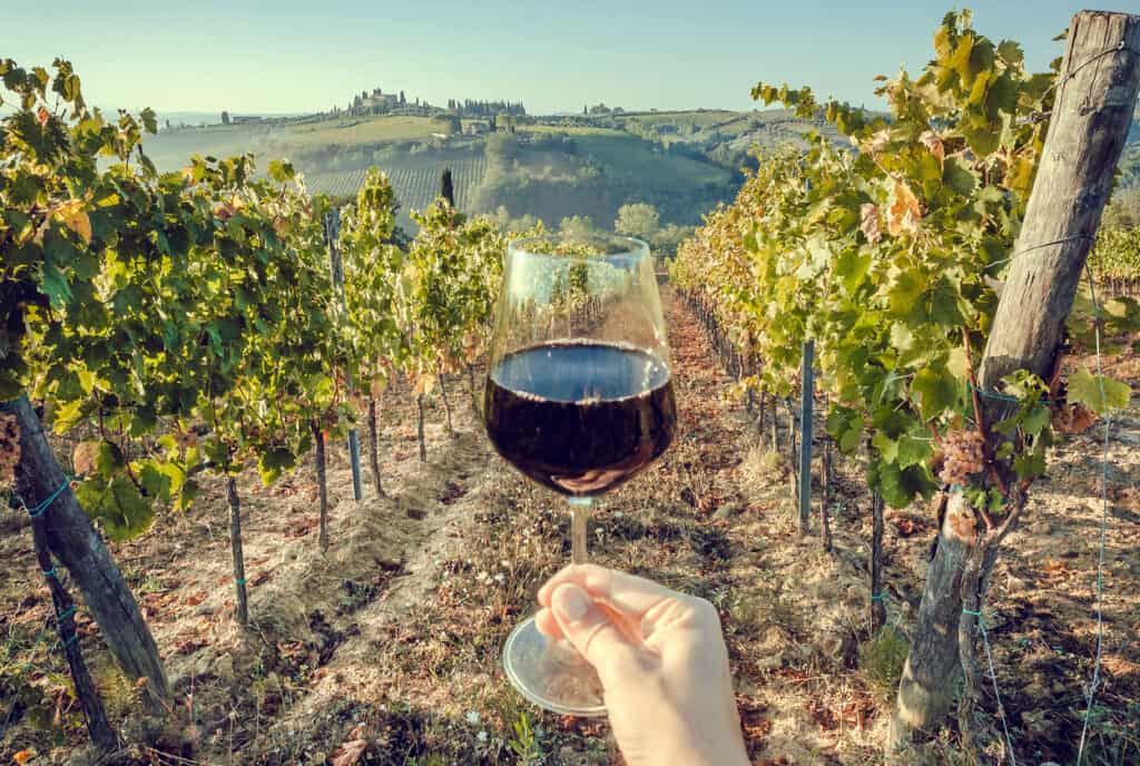 Glass of wine in hand of tourist in a natural landscape of Tuscany, with green valley of grapes. Wine beverage tasting in Italy during harvest as part of a food and wine tour for foodies over 55