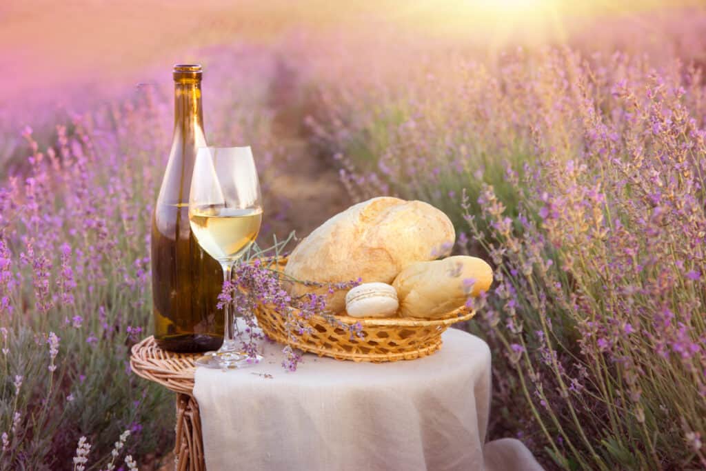Red wine bottle and wine glass on the ground. Bottle of wine against lavender landscape. Blue sky over lavender field in Provence, France.