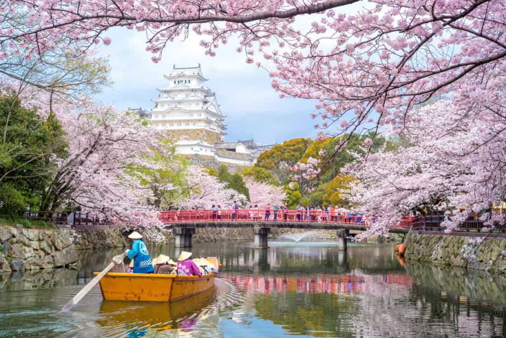 Himeji Castle with beautiful cherry blossom in spring season. It  is regarded as the finest surviving example of prototypical Japanese castle architecture. Festivals make for great cultural immersion experiences.