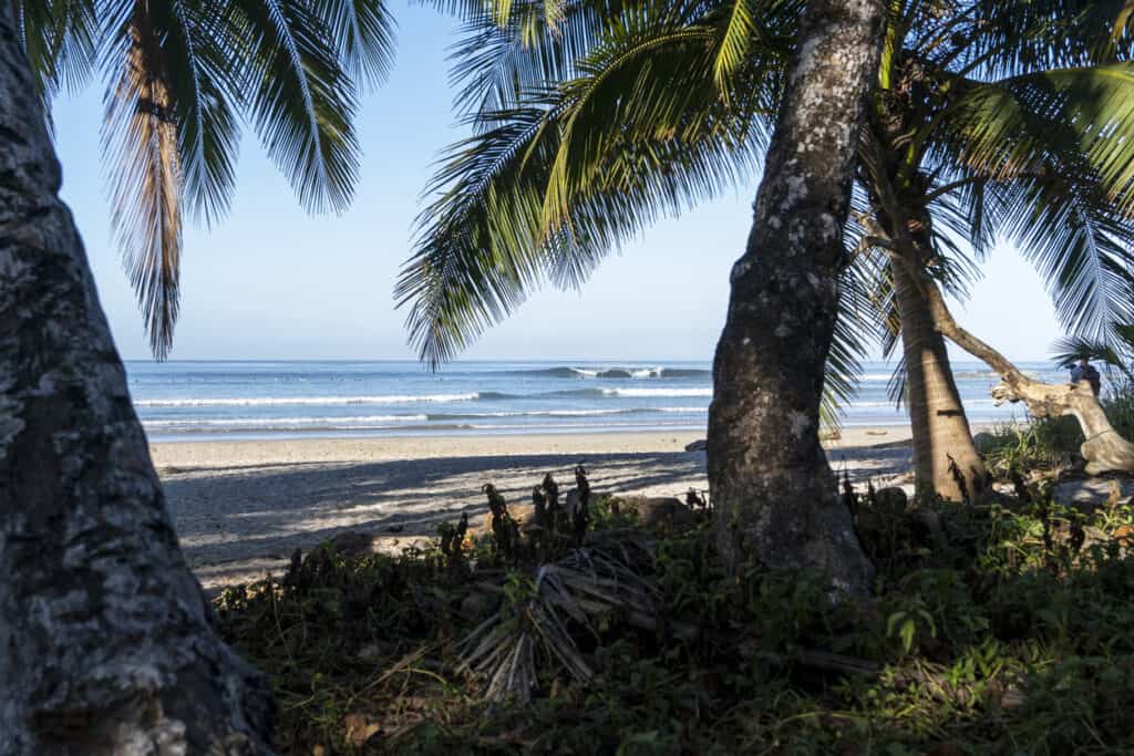 Santa Teresa beach with palm trees, ocean, waves and surfers. Tropical exotic beach background, one of the best beach towns in Costa Rica. Photo, iStock