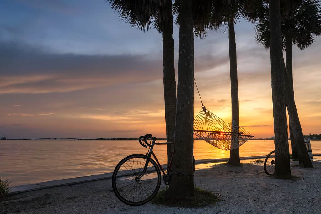 The hammock, the bicycle a,d palm trees at Sunset in Siesta Key beach, Sarasota, Florida. The best of both world for a Florida Tour for active seniors
