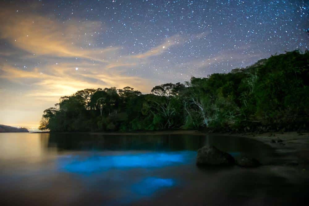 Bioluminescence seen under the water in the evening in Cuchillos, Costa Rica. Photo courtesy of Bahia Rica Kayak and Fishing Lodge