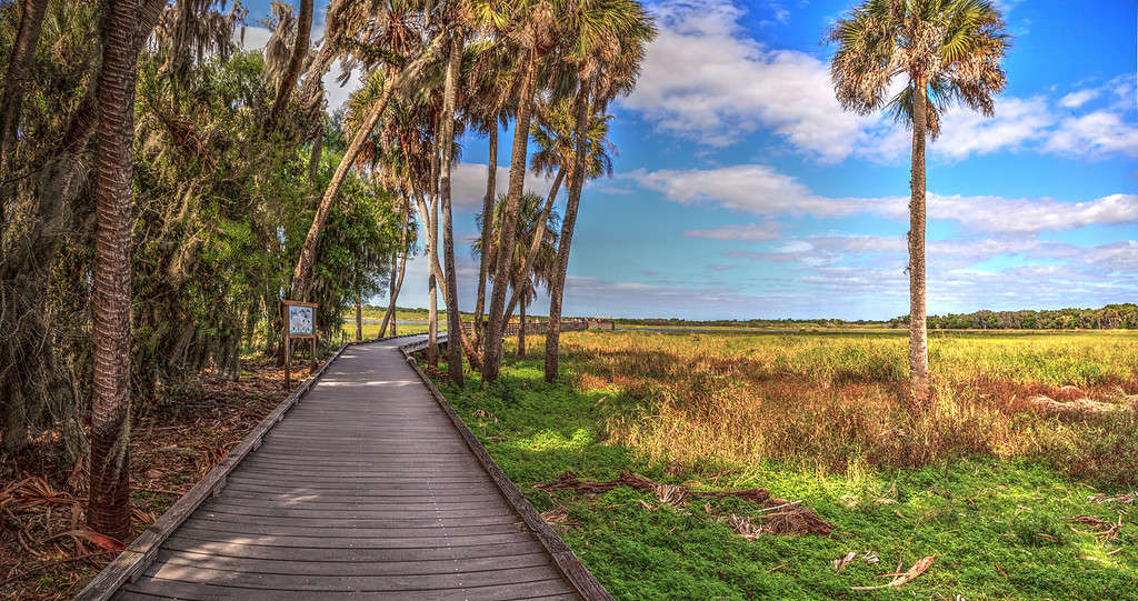 Bird watching boardwalk in the marsh of Myakka State Park in Sarasota, Florida. Ideal Florida Tour for Active Seniors
