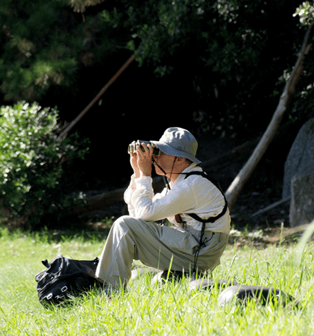 hobbies for retired men: older gentleman sitting in a meadow with binocular 