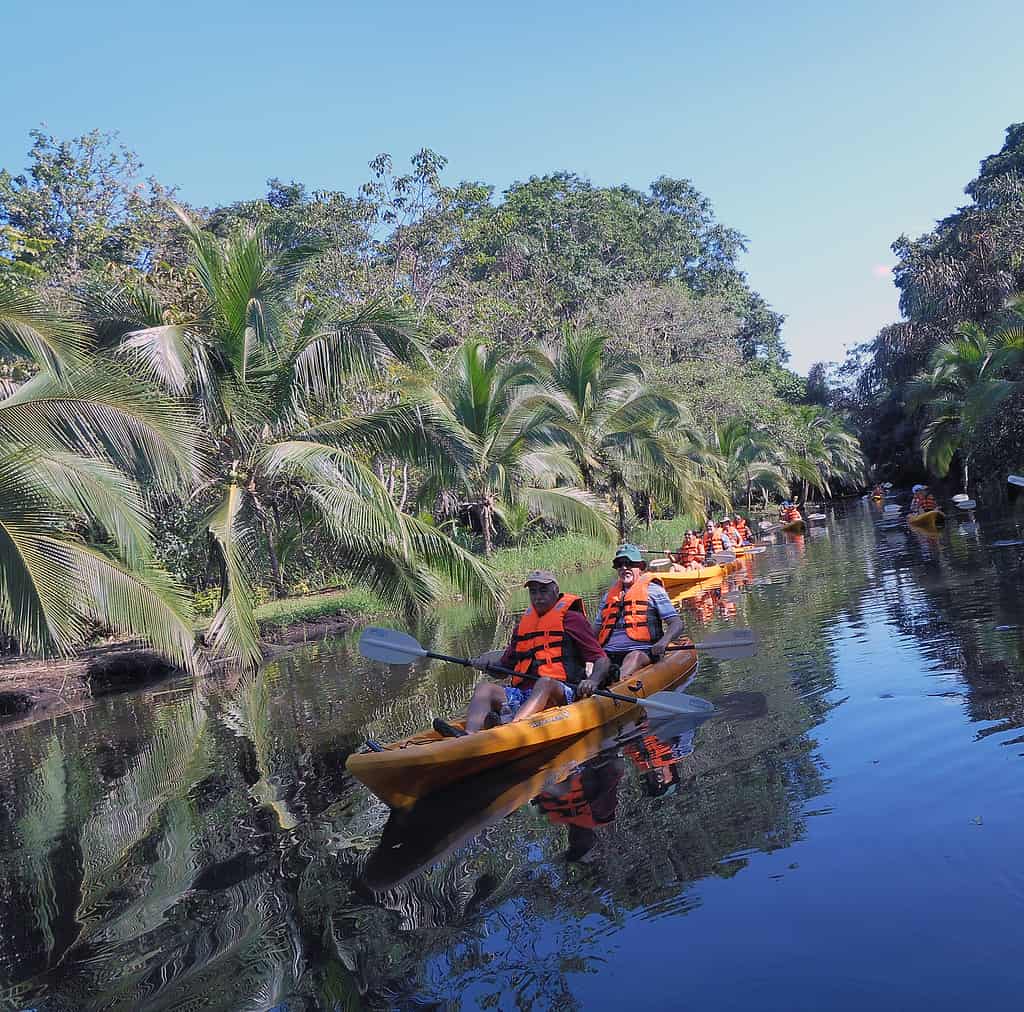 Kayaking in Costa Rica, tour group enjoying a quiet paddle 